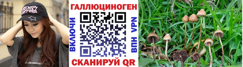 Галлюциногенные грибы MAGIC MUSHROOMS  Билибино 